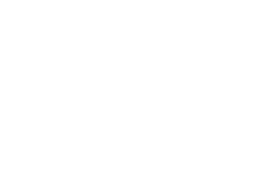 Folsom Street (organization) logo.